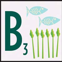 b 3