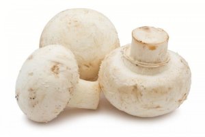 mushroom-benefits-3-1200x800