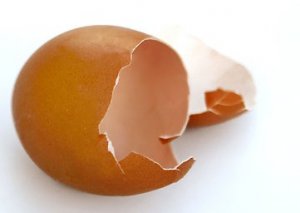 پوست-تخم-مرغ