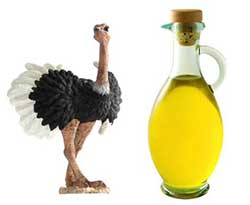 ostrich-oil