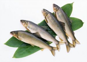 مزایا و معایب مصرف ماهی در دوران حاملگی