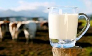 رابطه کاهش سرطان کولون با مصرف شیر