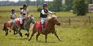 اثرات مثبت اسب سواری بر افزایش توانایی مغز