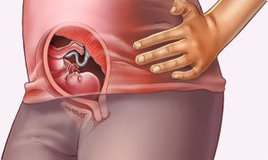 اطلاعاتی درباره وضعیت جنین در هفته هجدهم حاملگی