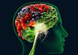 برنامه غذایی برای پیشگیری از زوال و کوچک شدن مغز