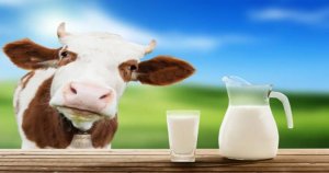 این 6 شیر را می توانیم جایگزین شیر گاو کنیم