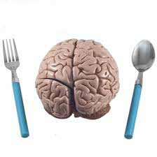 هشدار درباره برخی خوراکی های خنک کننده و کاهش عملکرد مغز