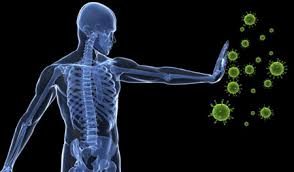 چگونه می توان سلول های سرطانی را از سیستم ایمنی بدن مخفی