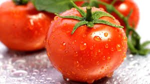 گوجه فرنگی یک ماده غذای ضد سرطان معده