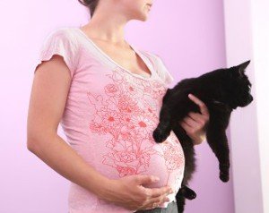 هشدار درباره عفونت مادر و جنین با انگل گربه