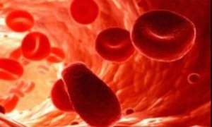 پلاکت خون و مقدار طبیعی آن و علت افت پلاکت خون 