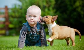 مزایا و معایب حیوانات خانگی بر کودکان