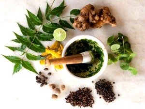 مزایا و معایب این 4 گیاه از دید طب سنتی