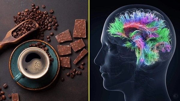 تاثیر مصرف قهوه و شکلات بر افزایش هوش!